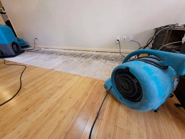 Professional Ceiling Water Damage Repair technician working in Baltic, SD
