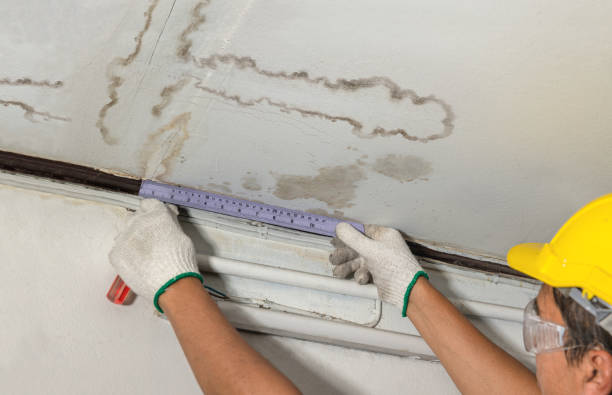 Affordable Ceiling Water Damage Repair solutions in Baltic, SD